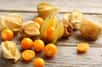 Enveloppes et fruits de Physalis, Coqueret du Pérou